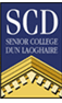 senior college dun laoaghire logo